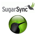 Get FREE online space with SugarSync!