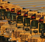 School buses
