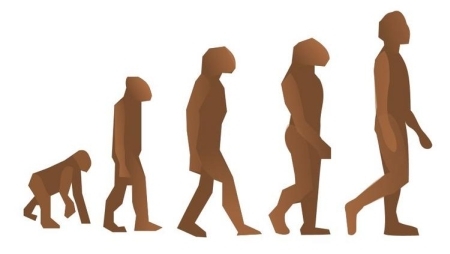 Human Evolution